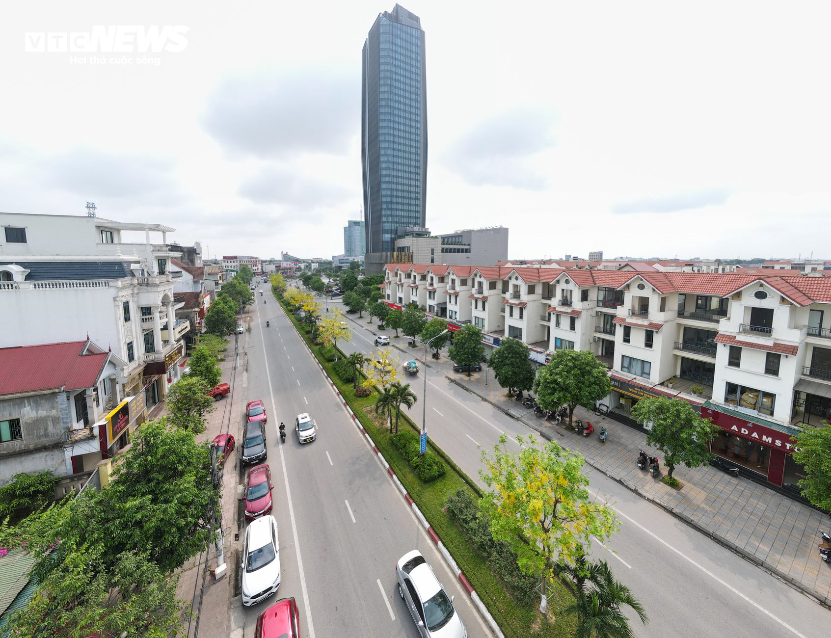 Hoa muồng hoàng yến nhuộm vàng cung đường ‘triệu đô’ ở thành phố Hà Tĩnh - Ảnh 11.