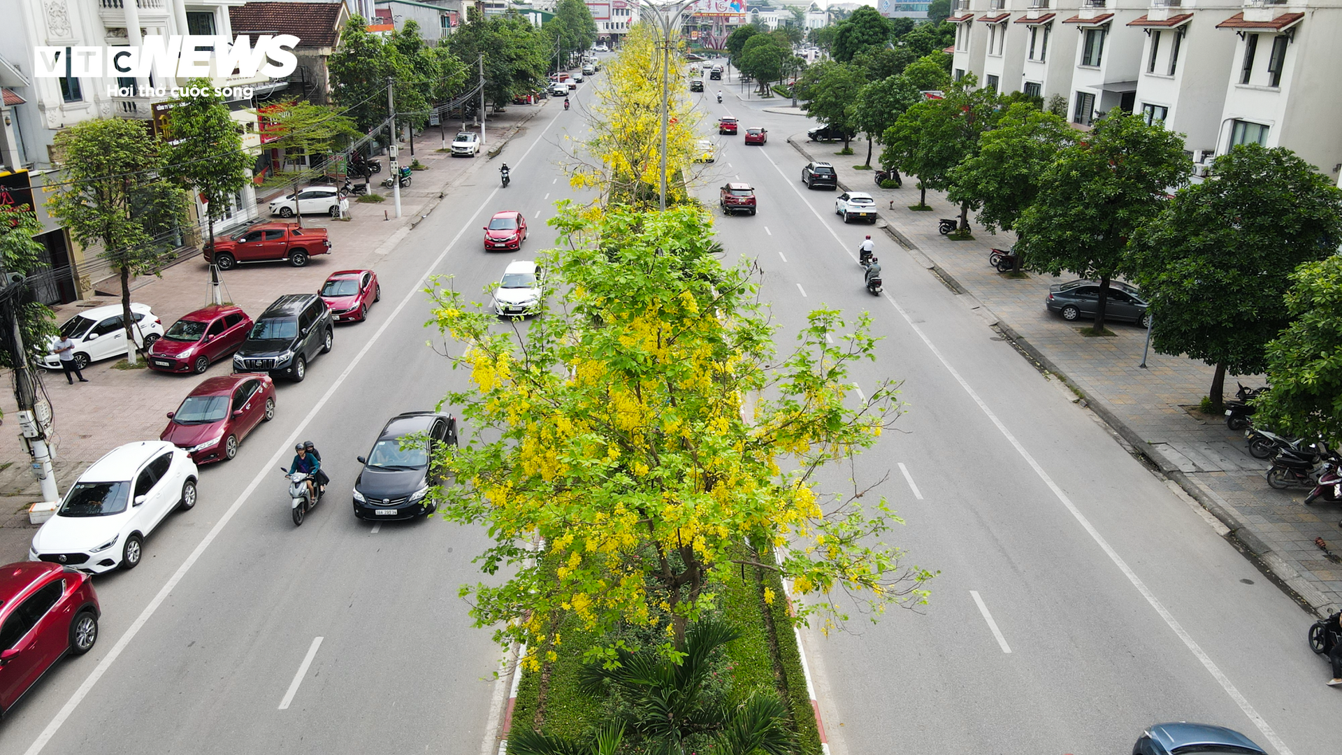 Hoa muồng hoàng yến nhuộm vàng cung đường ‘triệu đô’ ở thành phố Hà Tĩnh - Ảnh 1.