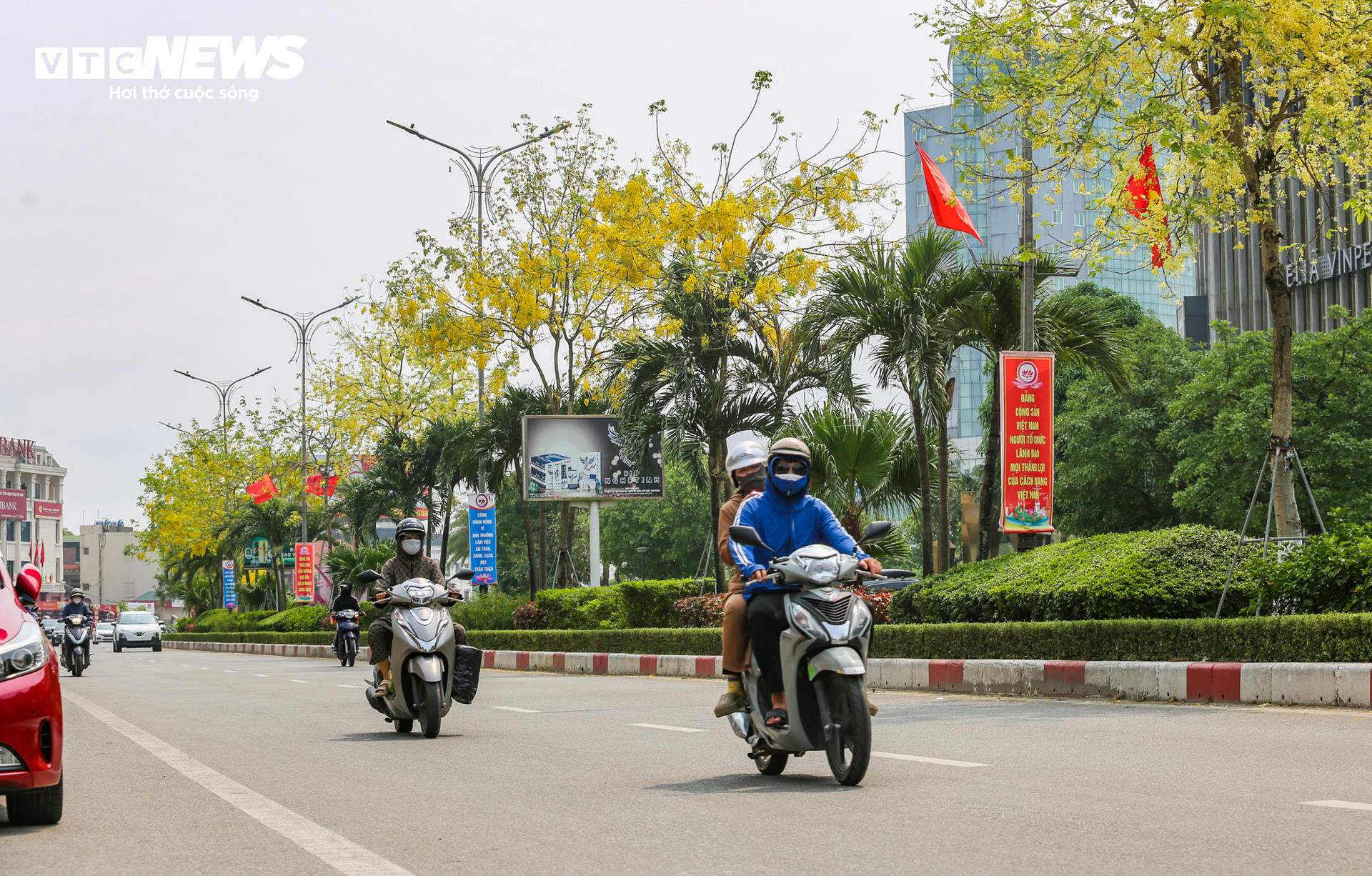 Hoa muồng hoàng yến nhuộm vàng cung đường ‘triệu đô’ ở thành phố Hà Tĩnh - Ảnh 6.