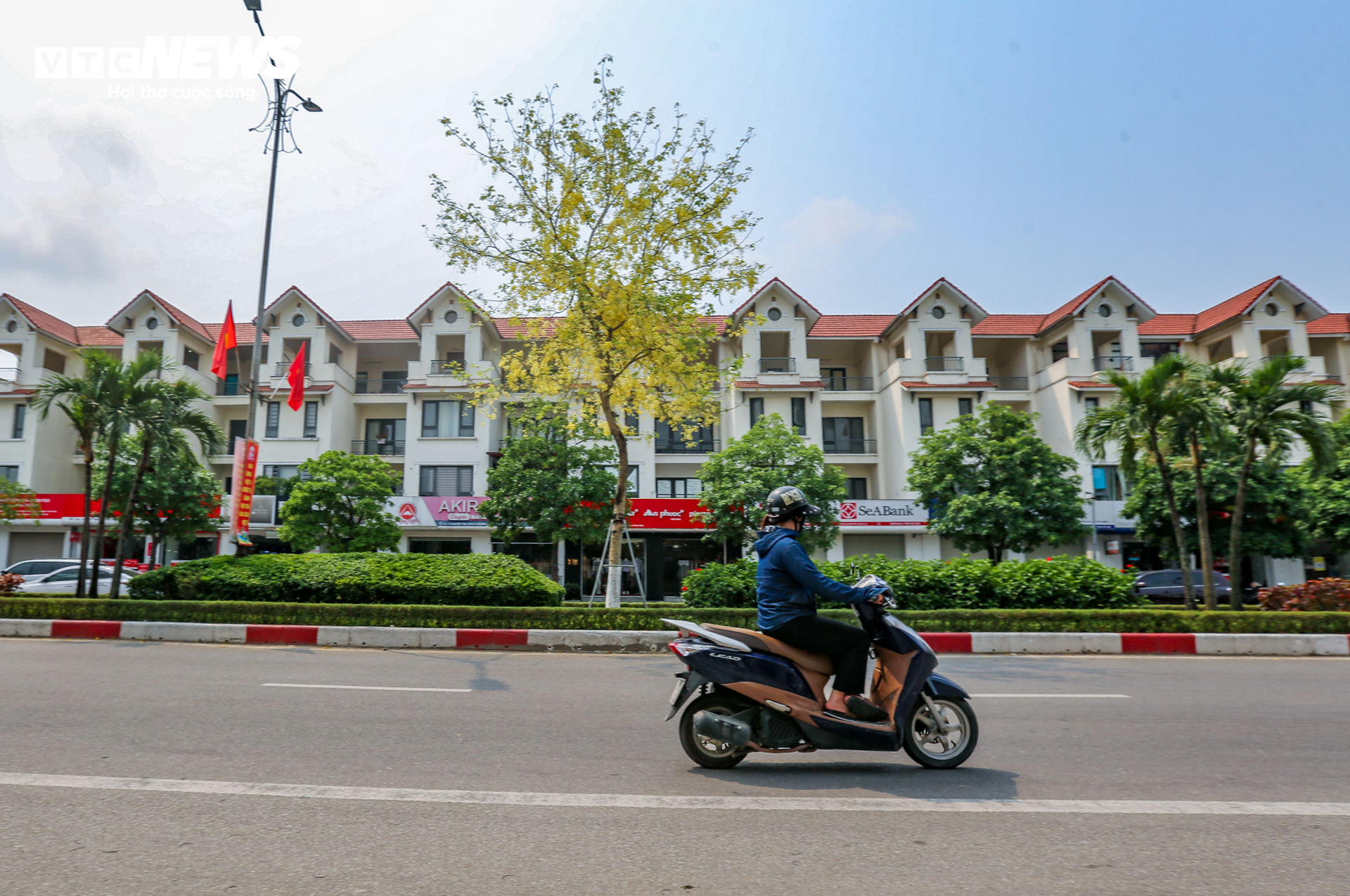 Hoa muồng hoàng yến nhuộm vàng cung đường ‘triệu đô’ ở thành phố Hà Tĩnh - Ảnh 8.