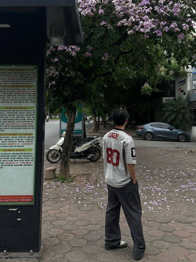 Loài hoa “tuyệt phẩm” mùa hè đã nhuộm tím cả Hà Nội, giới trẻ thi nhau check-in rồi sao bạn còn chưa đi? - Ảnh 14.