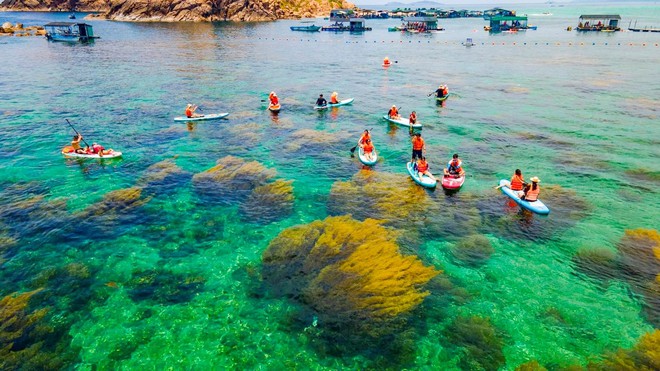 Có một hòn đảo hoang sơ cách thành phố chưa tới 20km, du khách nhận xét: "Nước trong nhìn thấy tận đáy"- Ảnh 14.