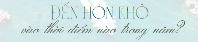 Có một hòn đảo hoang sơ cách thành phố chưa tới 20km, du khách nhận xét: "Nước trong nhìn thấy tận đáy"- Ảnh 11.