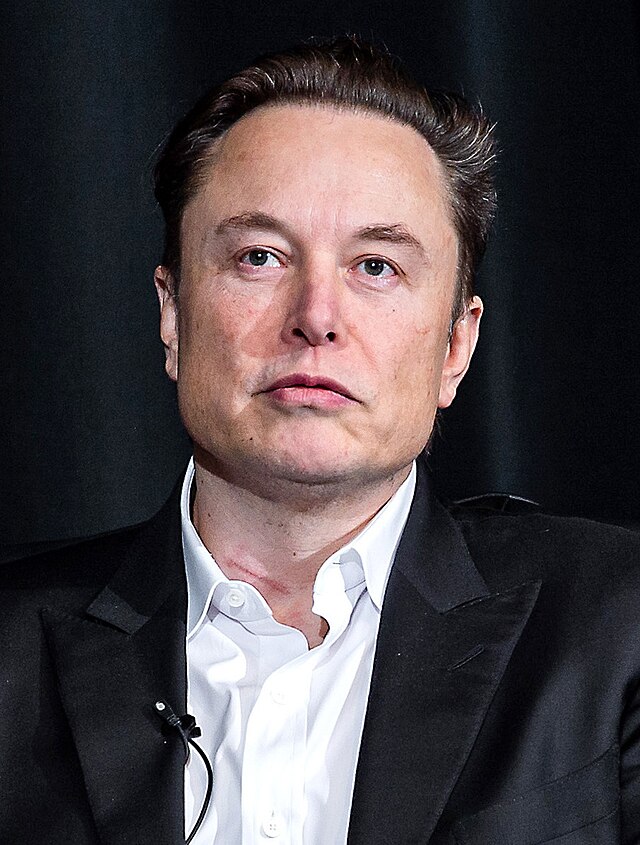 Elon Musk gặp rắc rối nghiêm trọng: Đến fan cứng cũng quay lưng, xin tỷ phú hãy rời Tesla nhanh chóng để công ty tập trung làm xe điện- Ảnh 1.