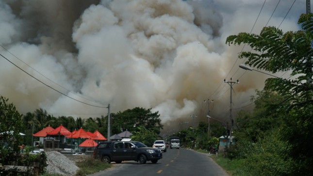 Đang cháy lớn tại Vườn Quốc gia Tràm Chim, hàng trăm người dập lửa- Ảnh 1.