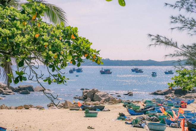 Phát hiện hòn đảo hoang sơ giữa biển Phú Yên mang cái tên lạ mà quen, được ví như đảo hoang Robinson- Ảnh 9.