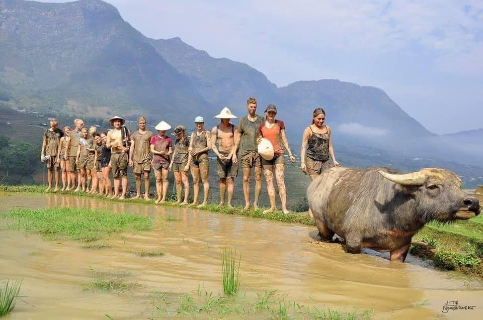 Không du lịch hưởng thụ nữa, khách Tây tới Việt Nam giờ lại thích những hoạt động này!- Ảnh 3.