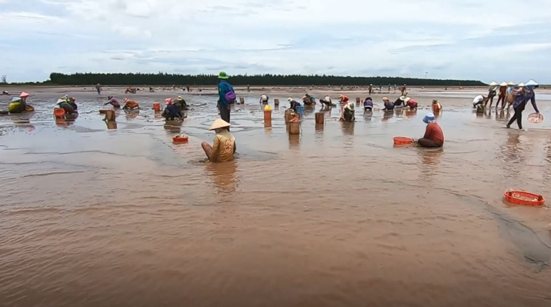 Dáng đứng Bến Tre giữa thời bình (Kỳ cuối)- Ảnh 2.