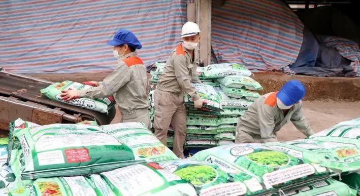 Áp thuế giá trị gia tăng, ngành Phân bón về đâu?- Ảnh 1.