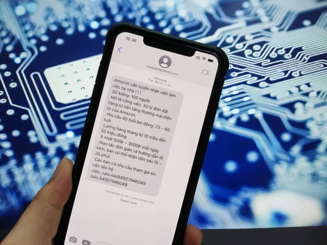 Nhiều cán bộ và công chức bị lừa đảo trên không gian mạng- Ảnh 2.