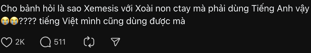 Netizen phân tích văn mẫu chia tay của Xemesis: Dùng tiếng Anh để làm gì? Tại sao tiếc nhưng vẫn ly hôn?- Ảnh 1.