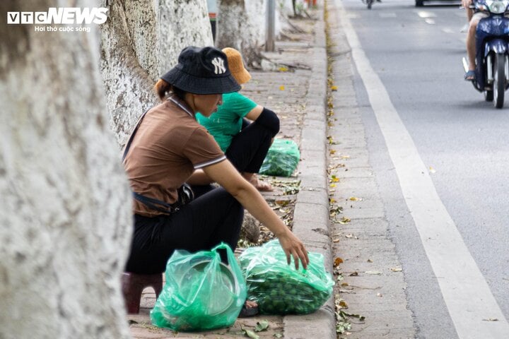 Kiếm tiền mưu sinh với nghề 'treo người' giữa lưng chừng trời ở Hà Nội- Ảnh 2.