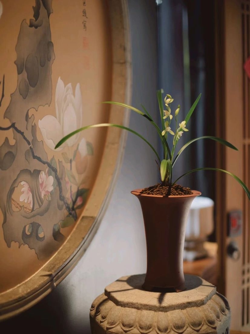 Đặt 6 loại cây này trong nhà sẽ giúp bạn duy trì hạnh phúc và thu hút sự giàu có!- Ảnh 2. Đặt 6 loại cây này trong nhà sẽ giúp bạn duy trì hạnh phúc và thu hút sự giàu có!- Ảnh 2.
