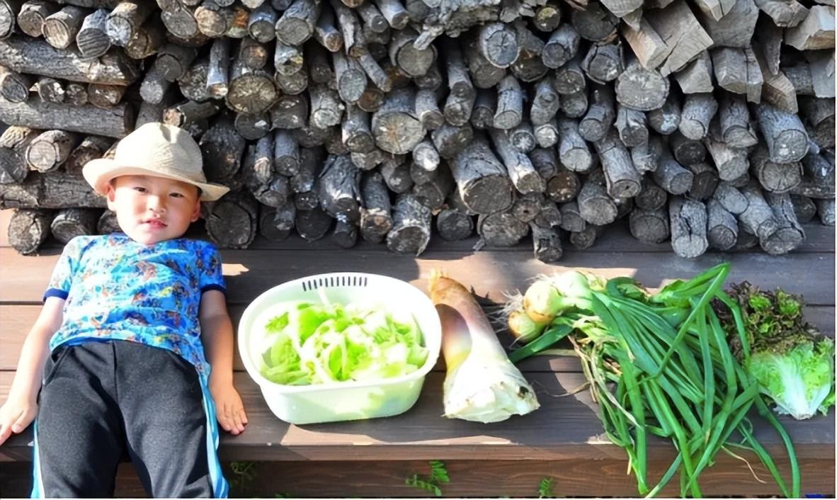 Một gia đình Nhật Bản sống trên núi 10 năm, thoải mái tận hưởng núi rừng, nhận ra tiêu chuẩn của cuộc sống hạnh phúc- Ảnh 42.