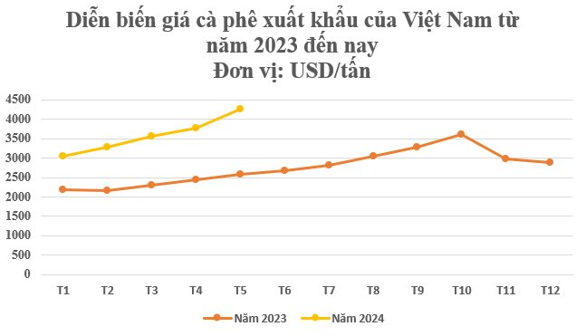 Mặt hàng Việt Nam có sản lượng thứ 2 thế giới đang khiến toàn cầu ‘ăn không ngon, ngủ không yên’: Sản lượng dự kiến giảm mạnh, 27 quốc gia châu Âu đều chứng kiến tăng giá- Ảnh 2.