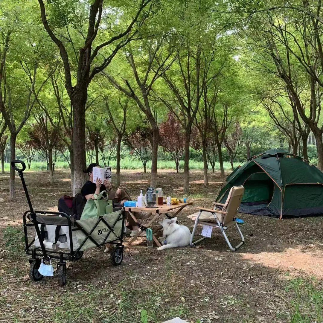 Thế hệ khởi đầu làn sóng xả stress: Làm việc 5 ngày/tuần, cuối tuần về quê làm ruộng- Ảnh 2.