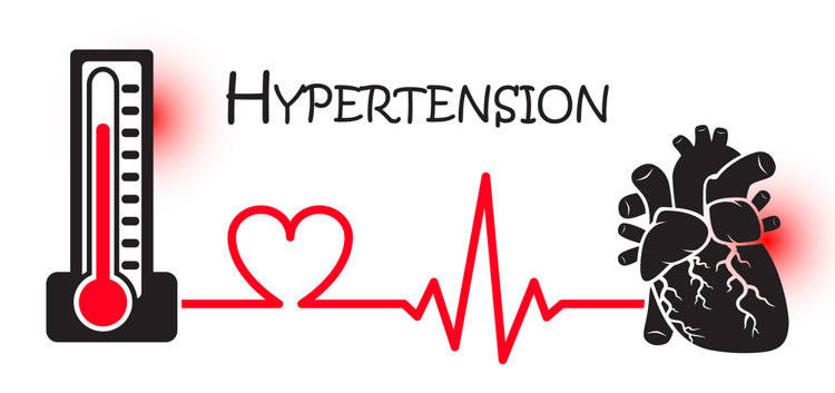 3 lần/ngày là thời điểm đo huyết áp chính xác nhất, bạn đã chọn đúng chưa?- Ảnh 1. 3 lần/ngày là thời điểm đo huyết áp chính xác nhất, bạn đã chọn đúng chưa?- Ảnh 1.