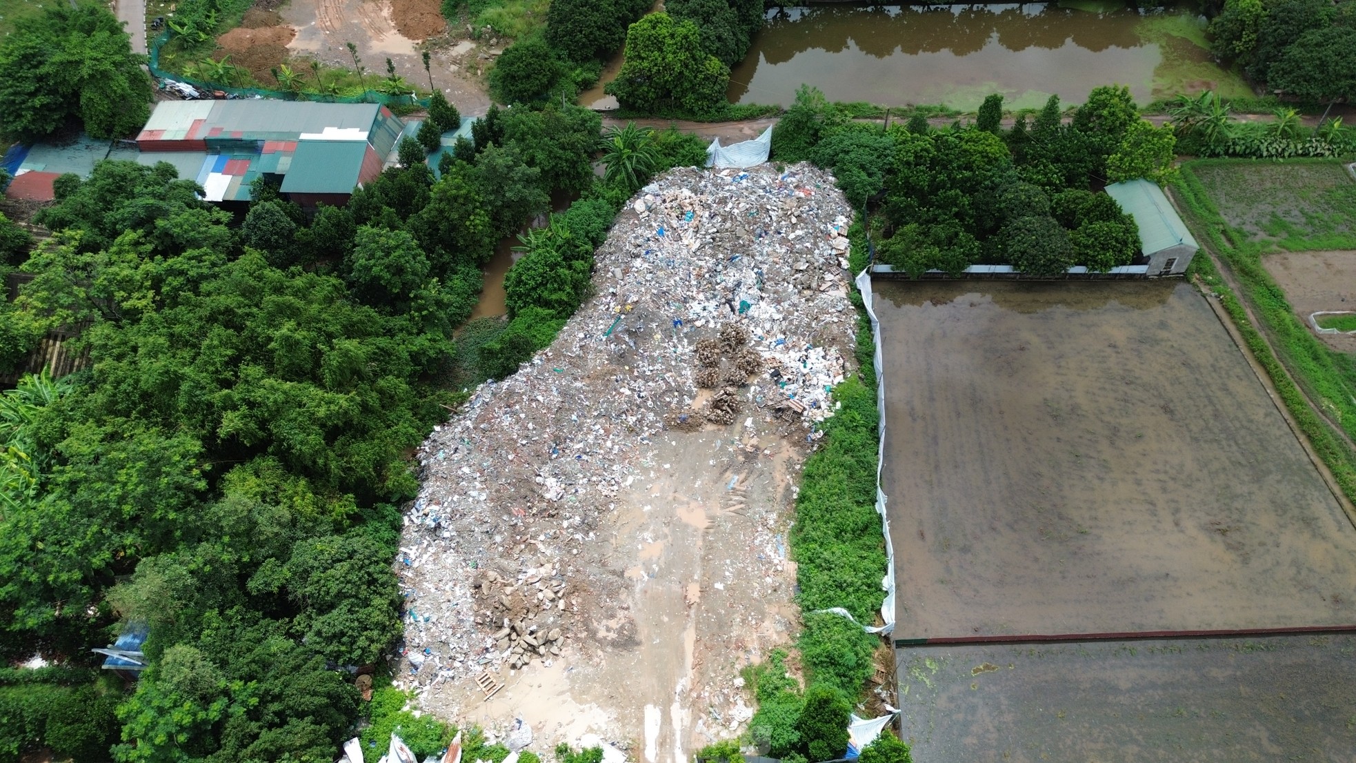 Ngang nhiên san lấp đất nông nghiệp tại huyện Quốc Oai- Ảnh 3.