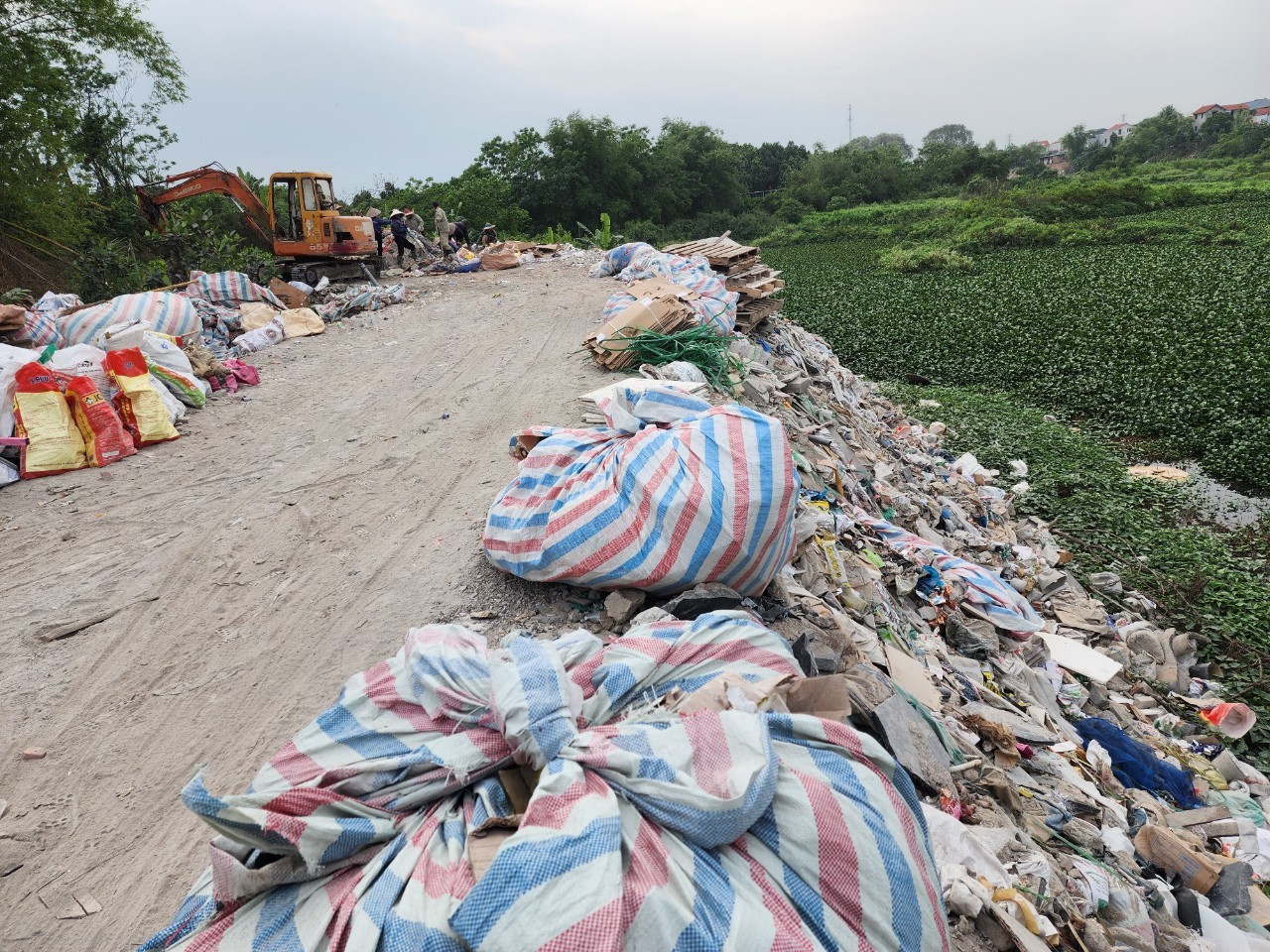 Ngang nhiên san lấp đất nông nghiệp tại huyện Quốc Oai- Ảnh 9.