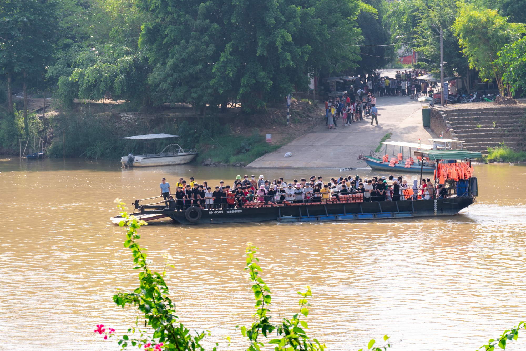 Mùa hè vào Vườn Quốc gia Nam Cát Tiên ngắm thú đêm, xem bướm- Ảnh 3.