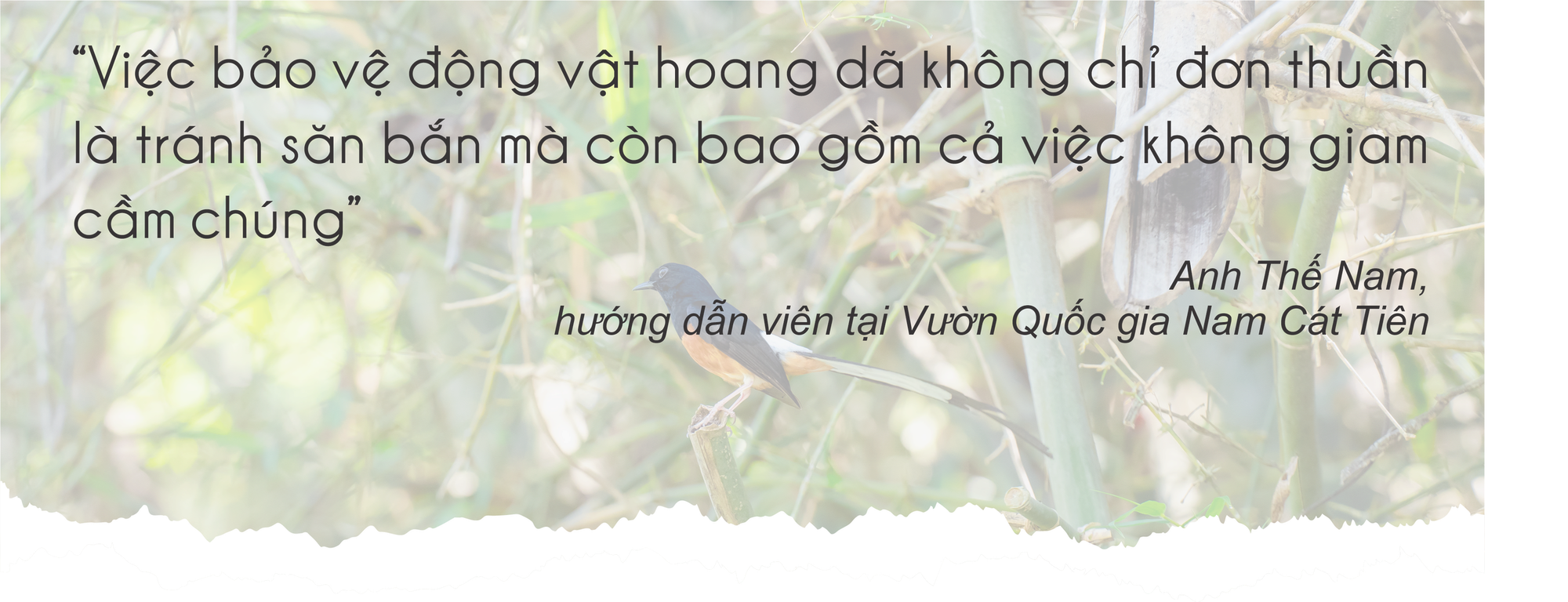 Mùa hè vào Vườn Quốc gia Nam Cát Tiên ngắm thú đêm, xem bướm- Ảnh 22.