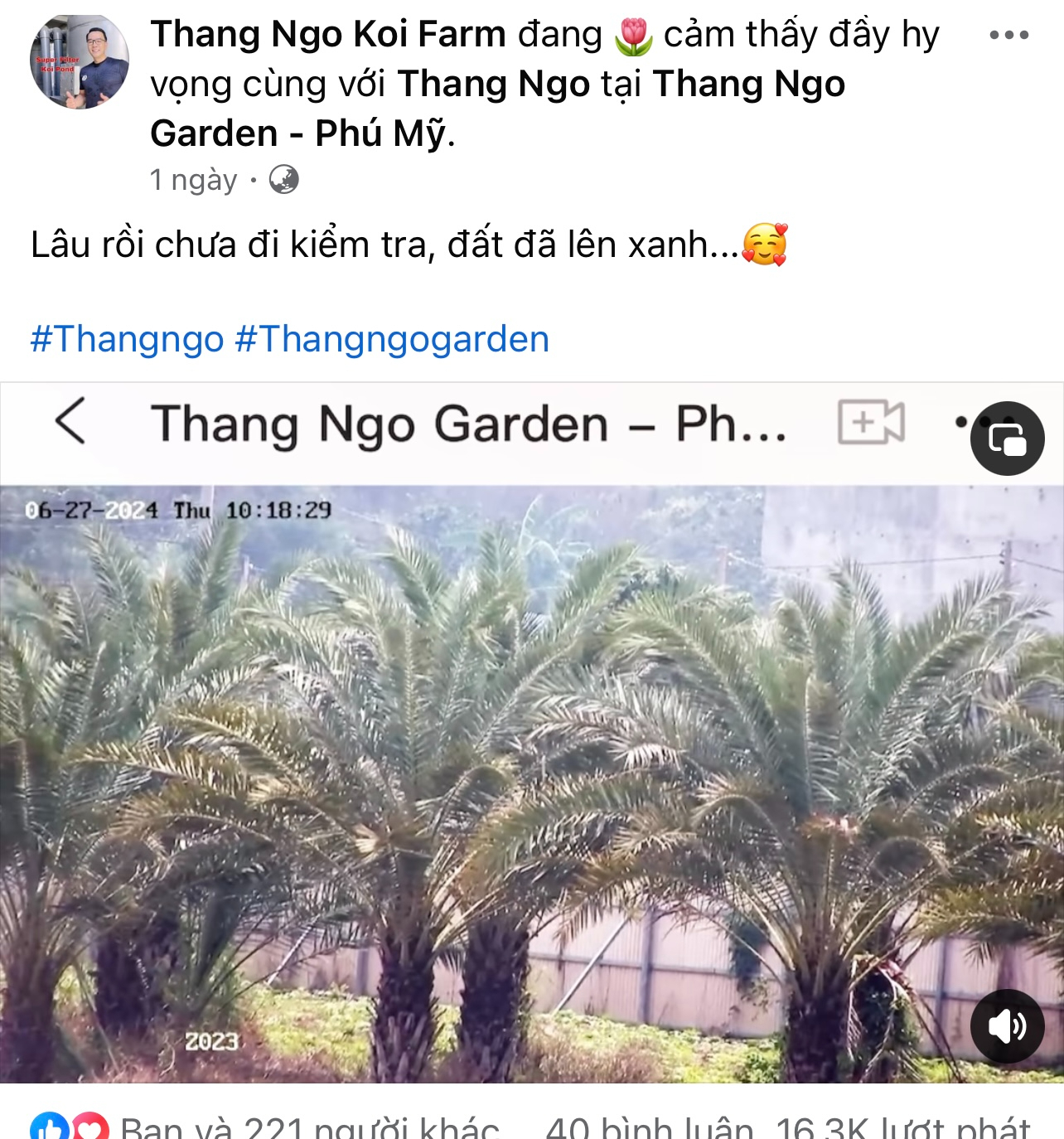 Động thái của vua cá Koi Thắng Ngô sau khi ném nhẫn cưới dứt tình với Hà Thanh Xuân- Ảnh 2.