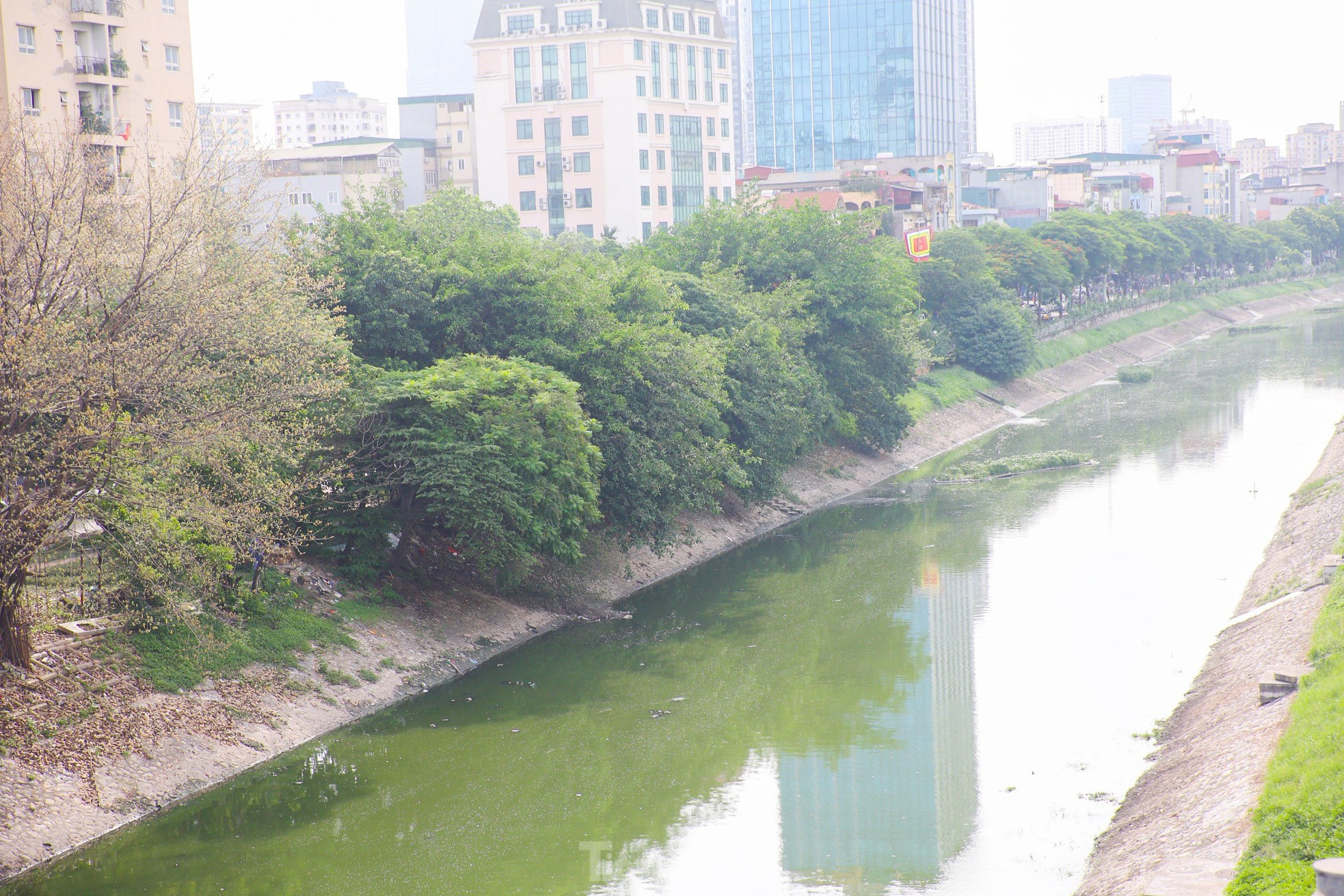 Nước sông Tô Lịch bỗng chuyển sang màu xanh lục- Ảnh 1.