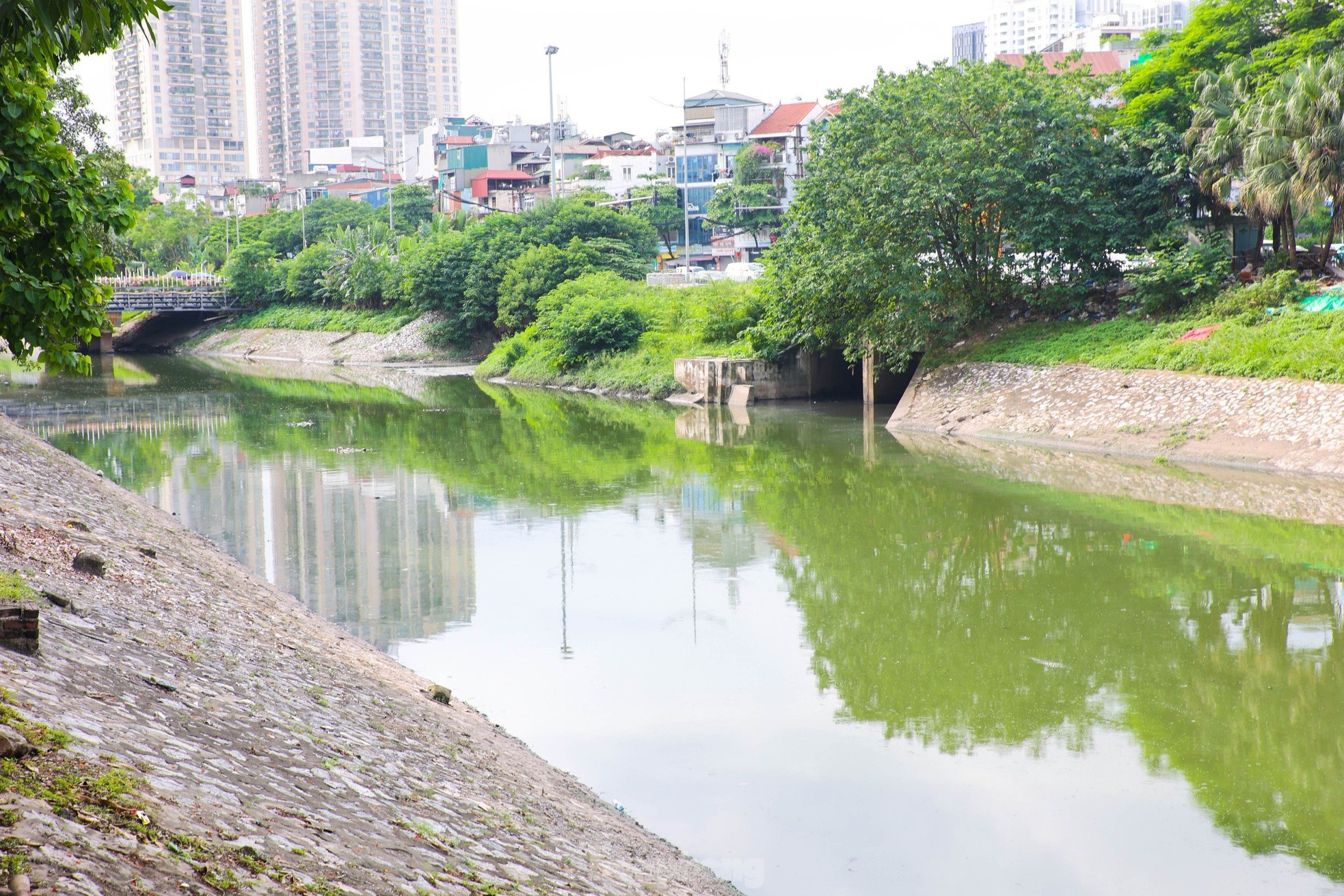 Nước sông Tô Lịch bỗng chuyển sang màu xanh lục- Ảnh 7.