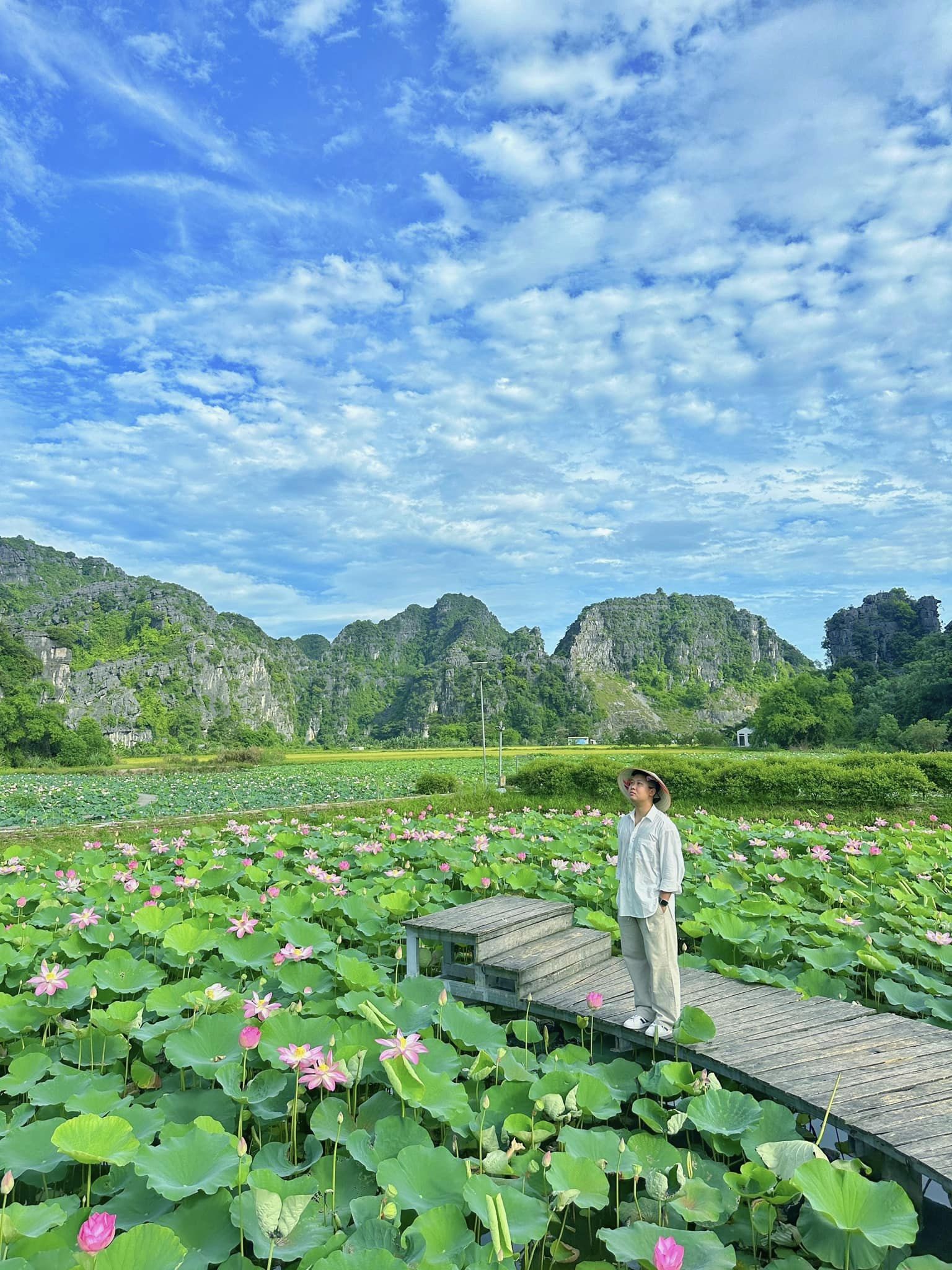 Chẳng phải tự nhiên nhiều người rủ nhau về Ninh Bình vào tháng 6: Đây chính là mùa đẹp nhất trong năm ở Cố đô!- Ảnh 6. Chẳng phải tự nhiên nhiều người rủ nhau về Ninh Bình vào tháng 6: Đây chính là mùa đẹp nhất trong năm ở Cố đô!- Ảnh 6.