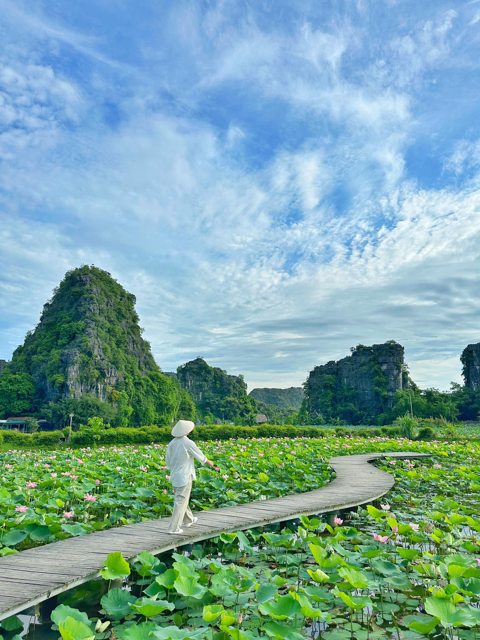 Chẳng phải tự nhiên nhiều người rủ nhau về Ninh Bình vào tháng 6: Đây chính là mùa đẹp nhất trong năm ở Cố đô!- Ảnh 7. Chẳng phải tự nhiên nhiều người rủ nhau về Ninh Bình vào tháng 6: Đây chính là mùa đẹp nhất trong năm ở Cố đô!- Ảnh 7.