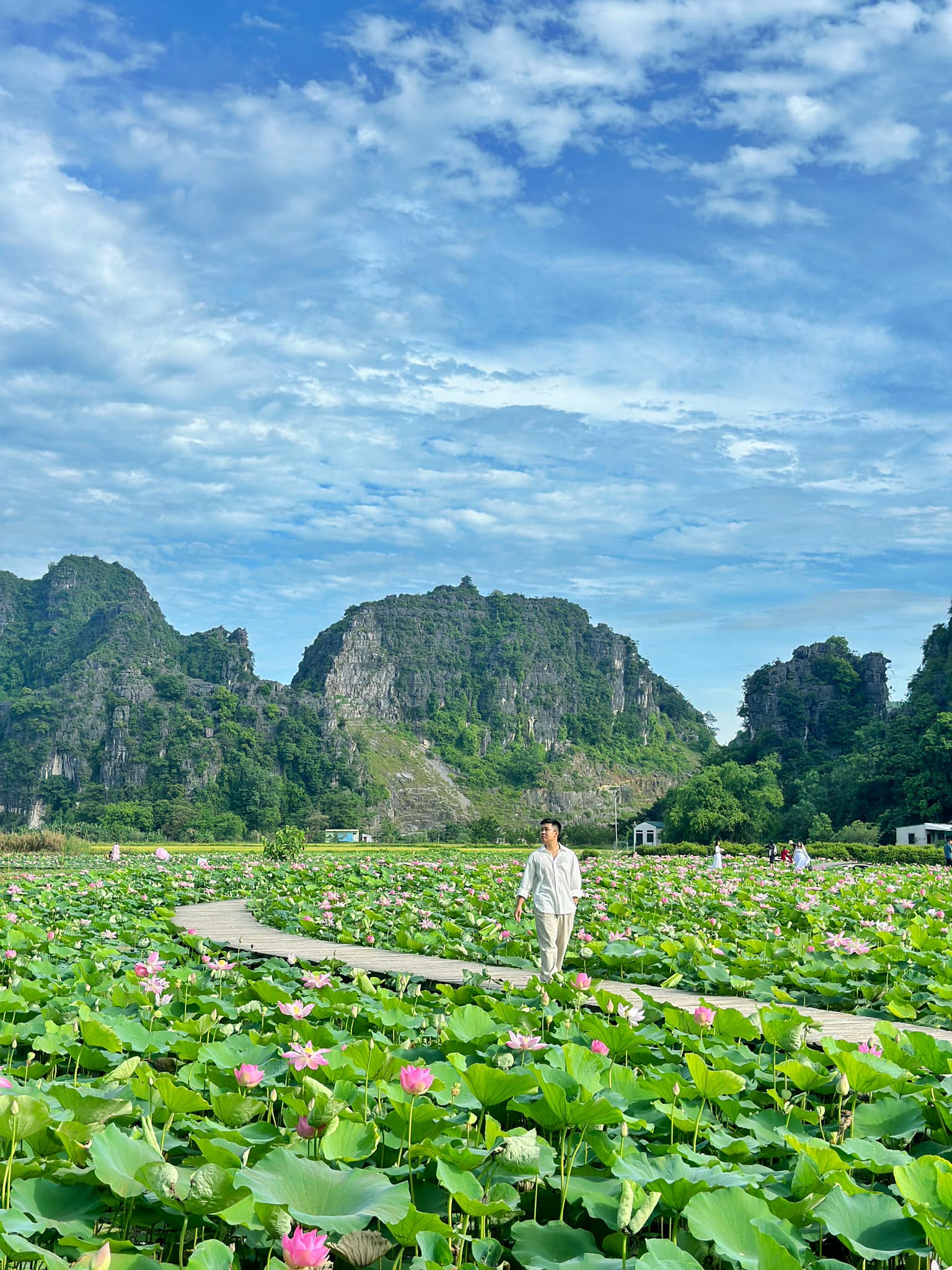 Chẳng phải tự nhiên nhiều người rủ nhau về Ninh Bình vào tháng 6: Đây chính là mùa đẹp nhất trong năm ở Cố đô!- Ảnh 8. Chẳng phải tự nhiên nhiều người rủ nhau về Ninh Bình vào tháng 6: Đây chính là mùa đẹp nhất trong năm ở Cố đô!- Ảnh 8.