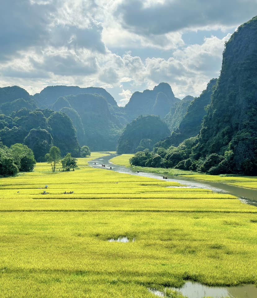 Chẳng phải tự nhiên nhiều người rủ nhau về Ninh Bình vào tháng 6: Đây chính là mùa đẹp nhất trong năm ở Cố đô!- Ảnh 4. Chẳng phải tự nhiên nhiều người rủ nhau về Ninh Bình vào tháng 6: Đây chính là mùa đẹp nhất trong năm ở Cố đô!- Ảnh 4.