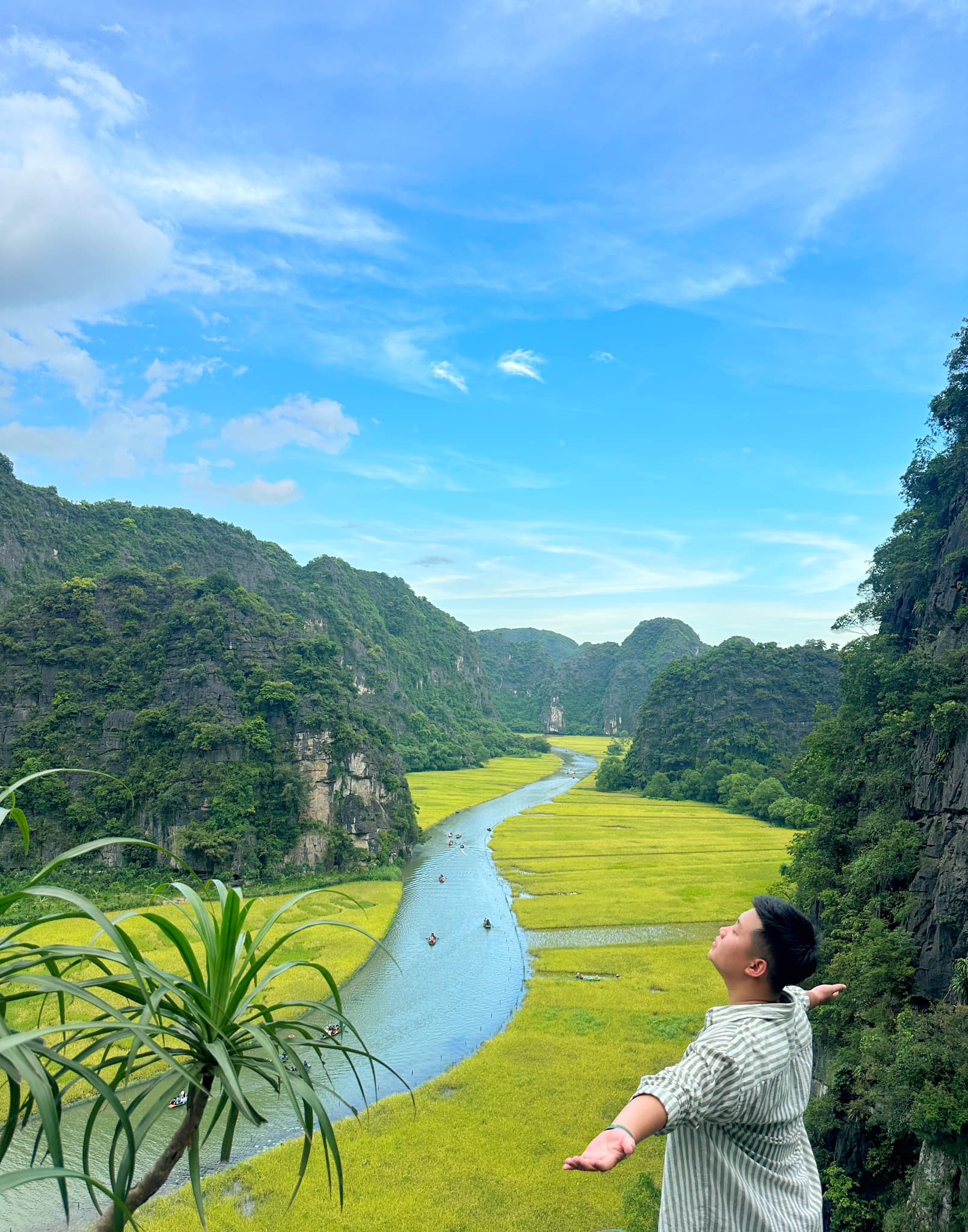 Chẳng phải tự nhiên nhiều người rủ nhau về Ninh Bình vào tháng 6: Đây chính là mùa đẹp nhất trong năm ở Cố đô!- Ảnh 3. Chẳng phải tự nhiên nhiều người rủ nhau về Ninh Bình vào tháng 6: Đây chính là mùa đẹp nhất trong năm ở Cố đô!- Ảnh 3.