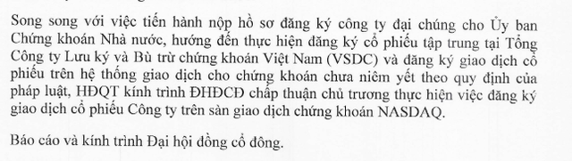 Công ty sở hữu nhà máy điện mặt trời lớn nhất miền Trung tham vọng niêm yết cổ phiếu trên Nasdaq, chung sàn với VinFast- Ảnh 1.