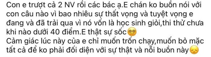 Sau khi biết điểm thi vào 10, phụ huynh Hà Nội kẻ khóc người cười, có người chỉ muốn trốn chạy để không phải đối diện với hiện thực- Ảnh 1.