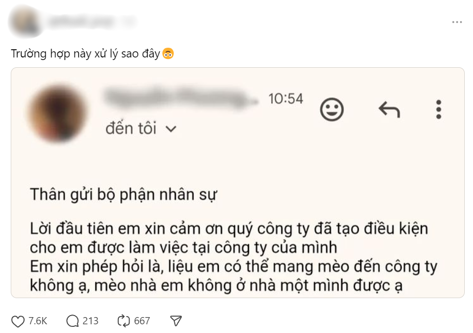 Phía sau câu chuyện nhân viên mới nhận việc viết email xin mang mèo đến công ty, HR đòi "xử lý"- Ảnh 1.