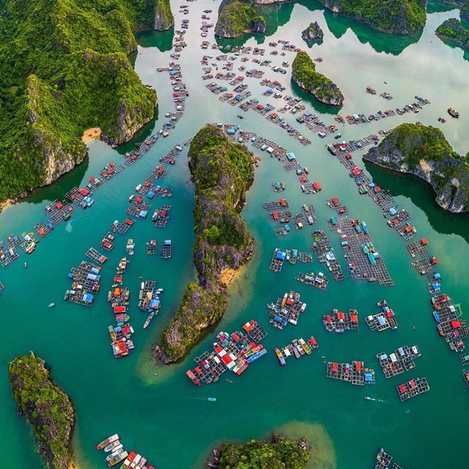 Hòn đảo mang tên tự do nằm ẩn mình ở Cát Bà ít người biết: Đẹp hoang sơ, sở hữu bãi biển 2 mặt hiếm có- Ảnh 8.