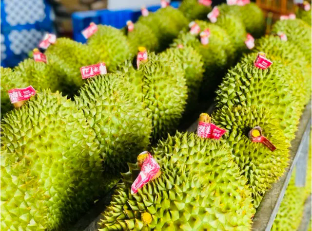 Xuất khẩu rau quả tăng mạnh ước đạt gần 4 tỷ USD- Ảnh 1. Xuất khẩu rau quả tăng mạnh ước đạt gần 4 tỷ USD- Ảnh 1.
