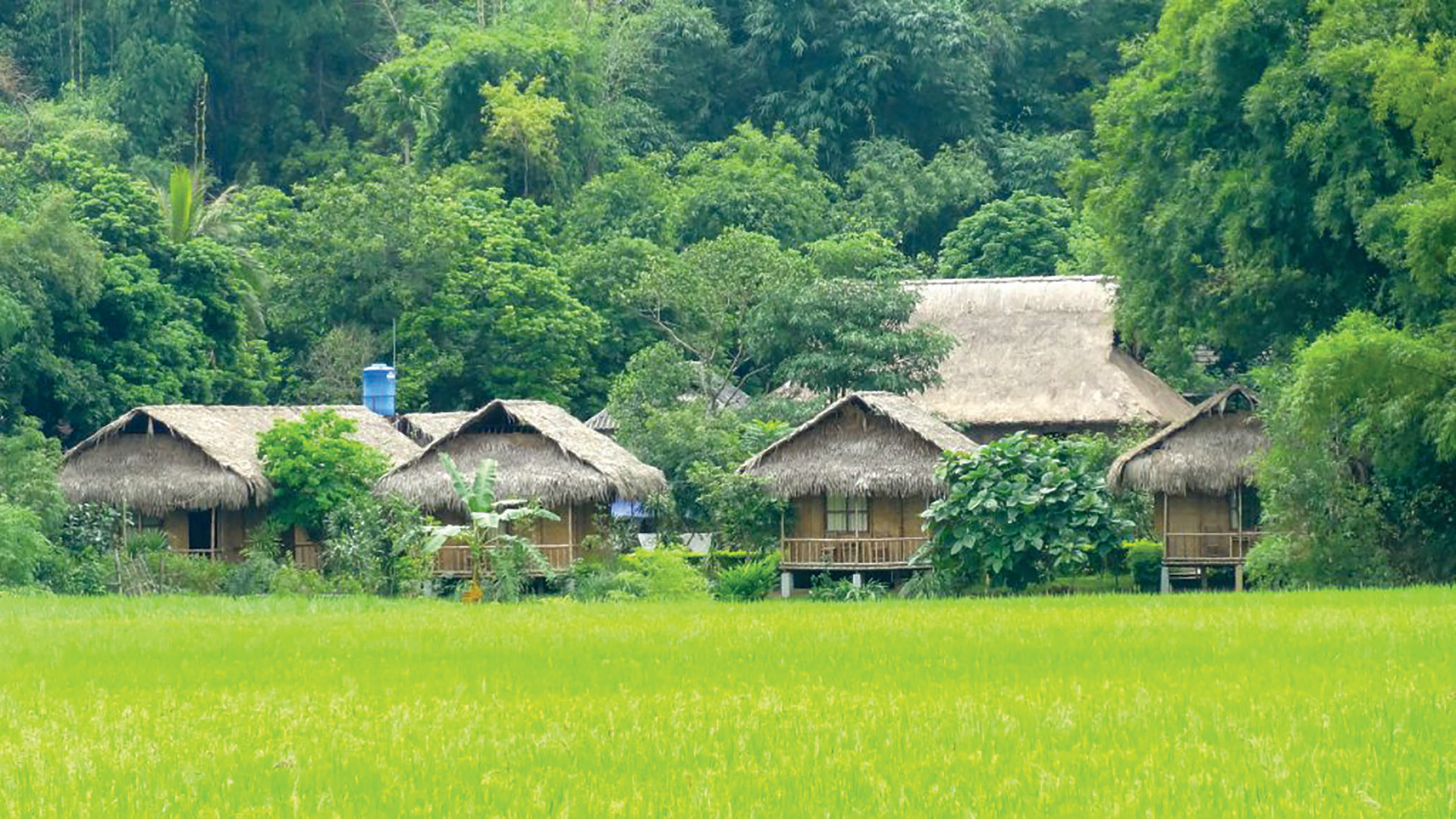 Một Vịnh Hạ Long trên cạn nằm giữa lòng hồ thuỷ điện, đẹp đặc biệt vào đêm Rằm, cách Hà Nội hơn 100km- Ảnh 7.