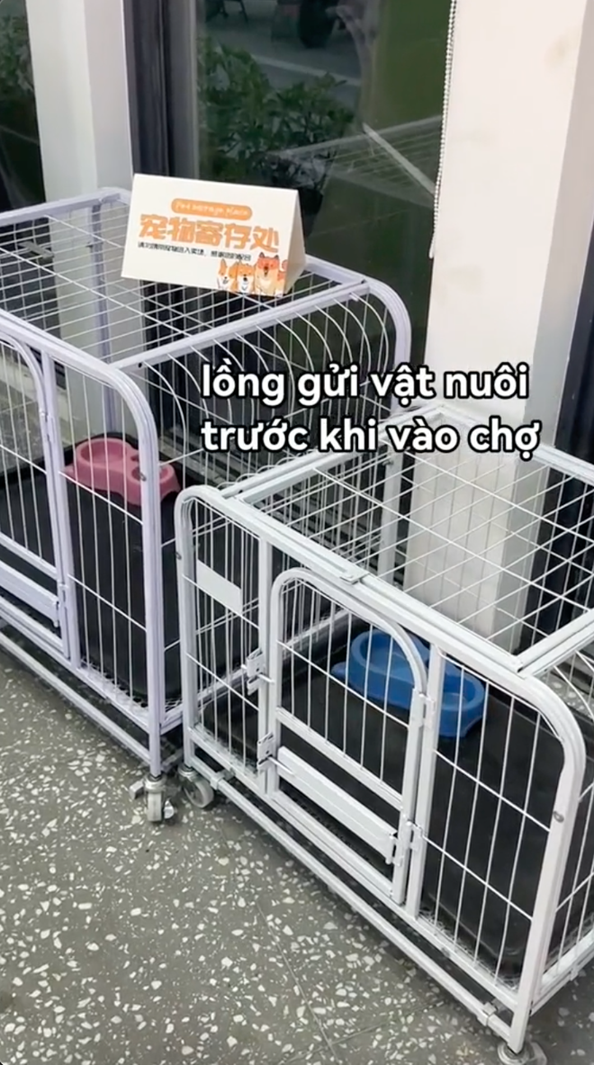 Khu chợ dân sinh Trung Quốc với độ hiện đại đáng kinh ngạc: Có cả cân công bằng để người mua tự cân lại- Ảnh 4.