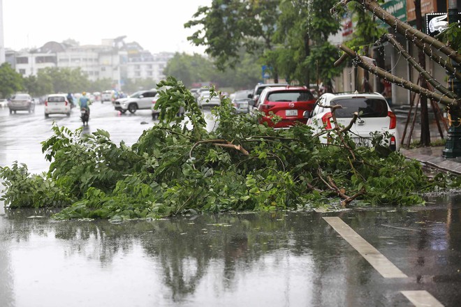 Những thiệt hại ban đầu khi bão số 2 đổ bộ Quảng Ninh- Ảnh 26.