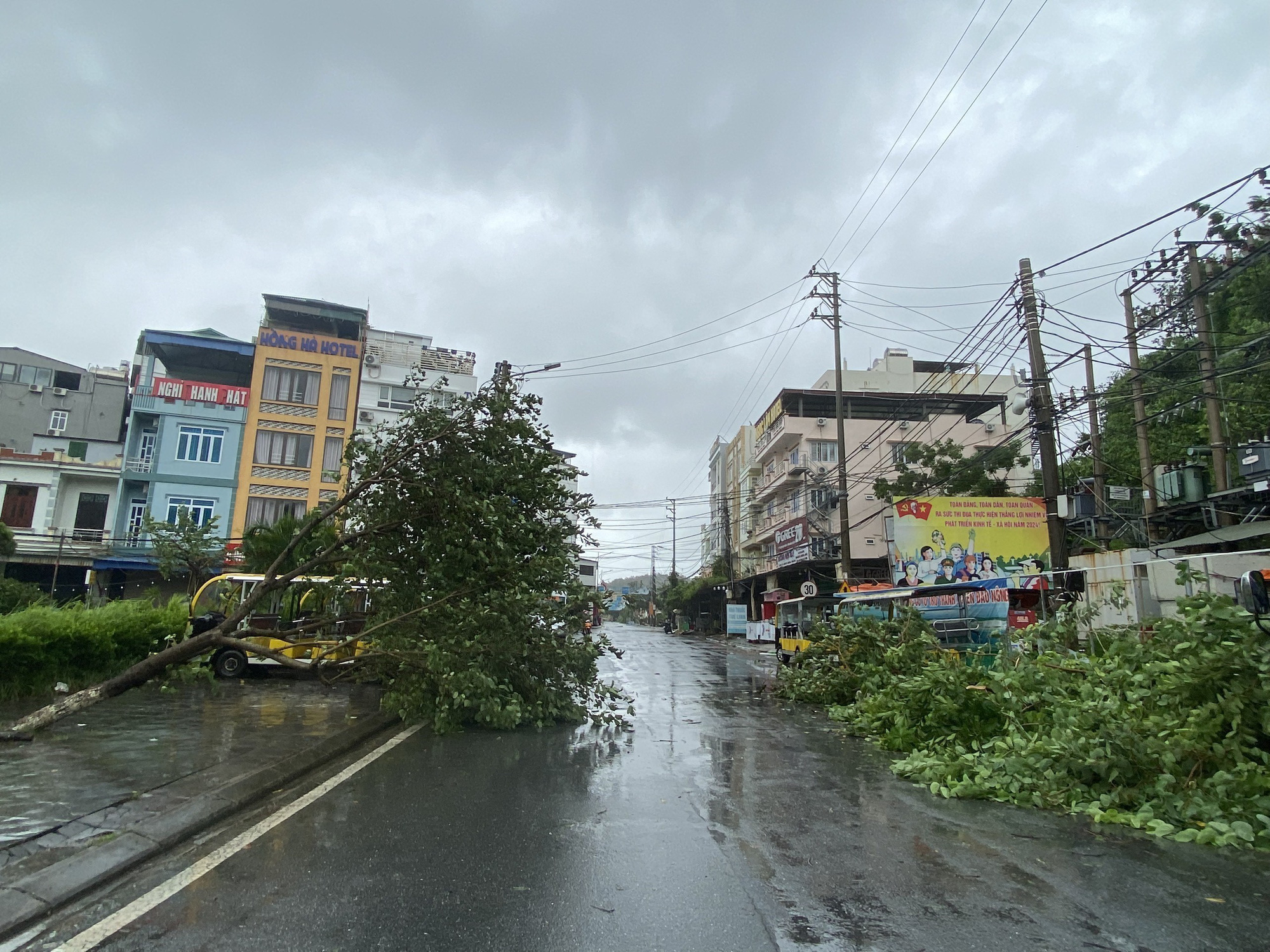 Trực tiếp bão số 2 đổ bộ: Quảng Ninh mưa rất to, cây gãy đổ hàng loạt- Ảnh 10.