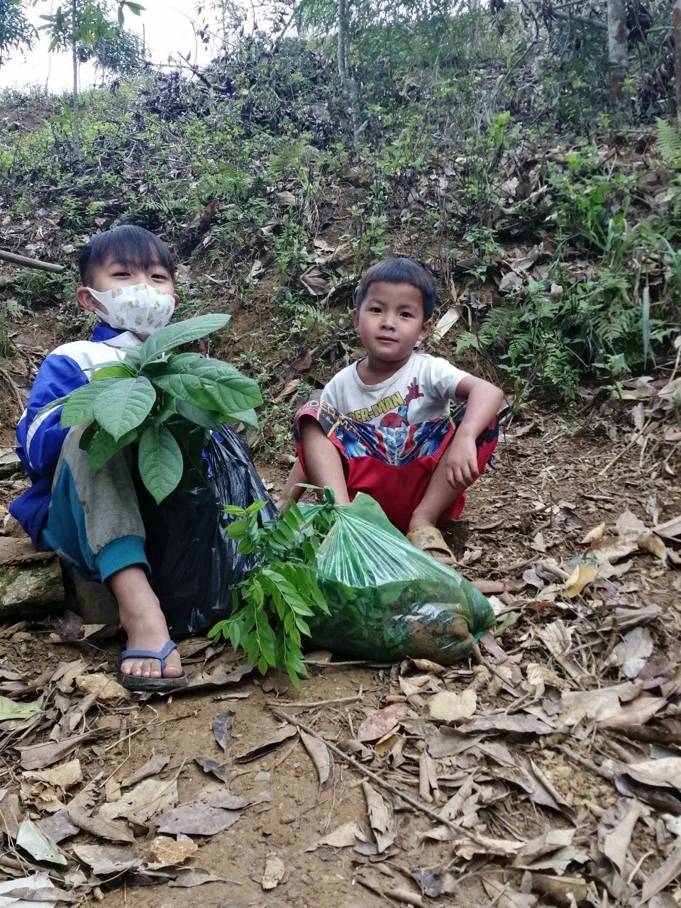 Chàng trai dân tộc Mông lớn lên cùng thiên tai, lũ lụt cùng người dân trồng hơn triệu cây xanh- Ảnh 8.