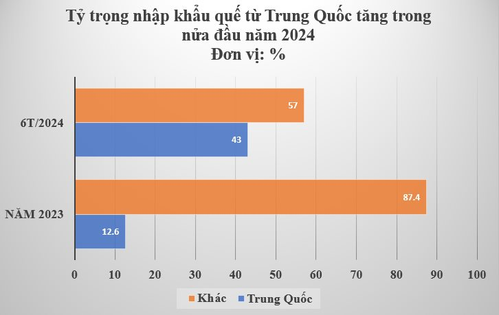 Hàng nghìn tấn cây quý nguồn gốc từ Trung Quốc đưa Việt Nam trở thành ông hoàng xuất khẩu - sản lượng nước ta chỉ bằng 1/2 láng giềng nhưng xuất khẩu đứng đầu thế giới- Ảnh 3.