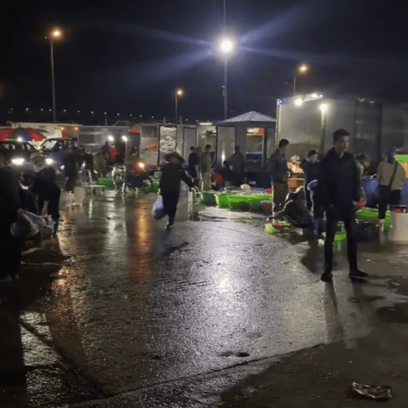 Ghé thăm chợ hải sản được mệnh danh "rẻ nhất miền Bắc", ai đi du lịch đều muốn đến ít nhất 1 lần- Ảnh 4.