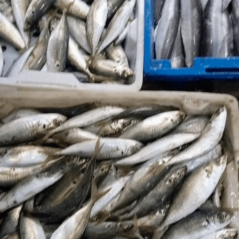 Ghé thăm chợ hải sản được mệnh danh "rẻ nhất miền Bắc", ai đi du lịch đều muốn đến ít nhất 1 lần- Ảnh 8.