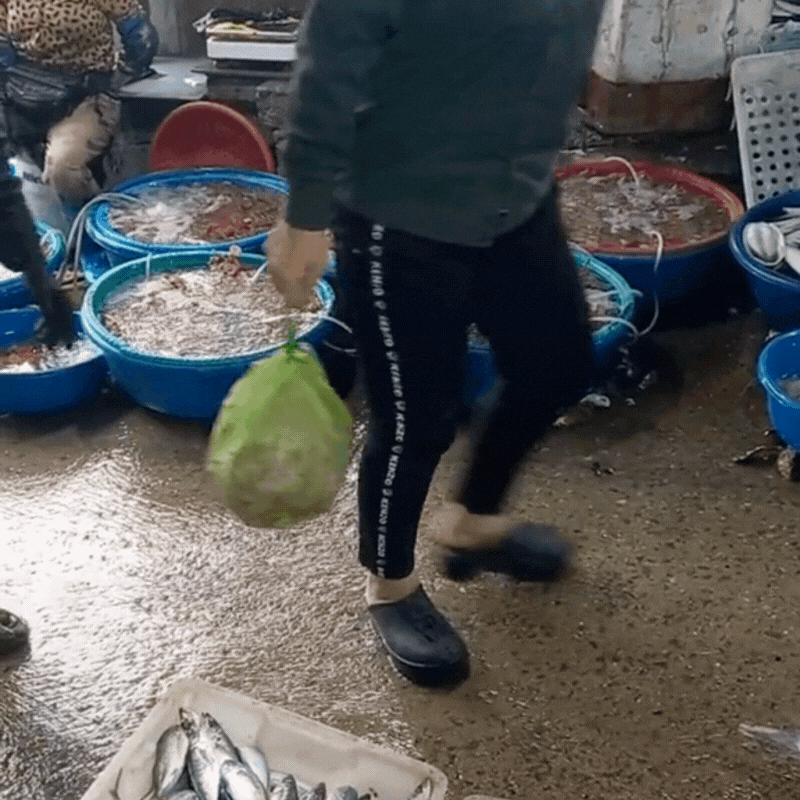 Ghé thăm chợ hải sản được mệnh danh "rẻ nhất miền Bắc", ai đi du lịch đều muốn đến ít nhất 1 lần- Ảnh 7.