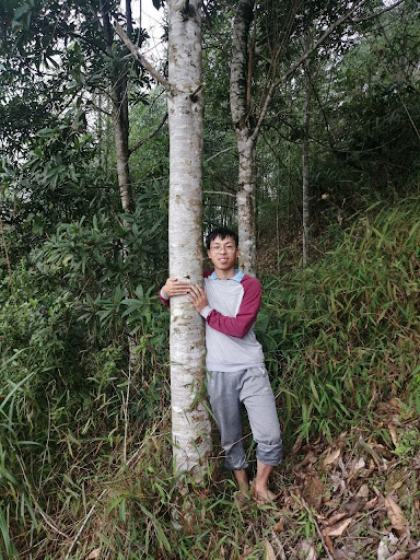 Chàng trai dân tộc Mông lớn lên cùng thiên tai, lũ lụt cùng người dân trồng hơn triệu cây xanh- Ảnh 4.