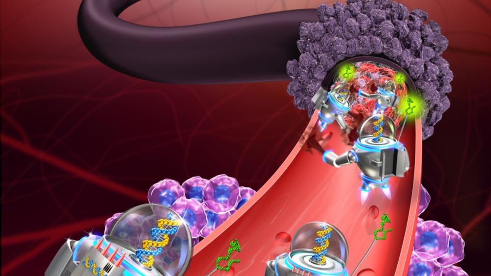 Nanorobot - chìa khóa giúp loài người sống thọ đến 1.000 tuổi?- Ảnh 1.