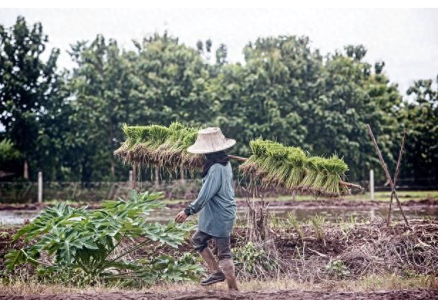 Nuôi cháu gái chồng ròng rã 22 năm, tôi đau lòng khi thấy con về đến thành phố có mẹ ruột để sống - Đến khi ngã bệnh, tôi mới hiểu thấu tấm lòng con!- Ảnh 1.